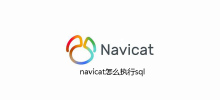 How to execute sql in navicat