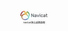 How to set up auto-increment in navicat