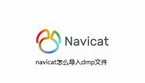 navicat怎么导入dmp文件