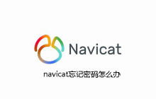 navicat忘记密码怎么办