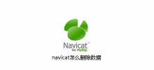 How to delete data in navicat