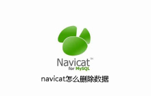navicat怎么删除数据
