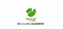 How to export data dictionary using navicat