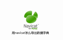 用navicat怎么导出数据字典
