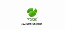 How to add data to navicat