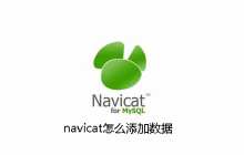 navicat怎么添加数据