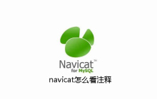 navicat怎么看注释