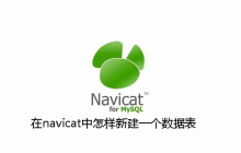 在navicat中怎样新建一个数据表