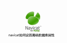 navicat如何设置高级数据库属性