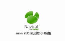 navicat如何设置SSH属性