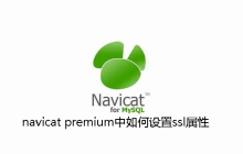 navicat premium中如何设置ssl属性