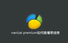 navicat premium如何查看表信息
