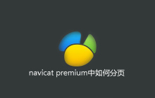 navicat premium中如何分页