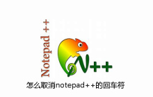 怎么取消notepad++的回车符