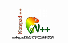 notepad怎么打开二进制文件