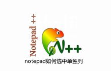 notepad如何选中单独列