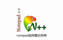 notepad如何显示列号