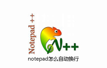 notepad怎么自动换行