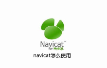 navicat怎么使用