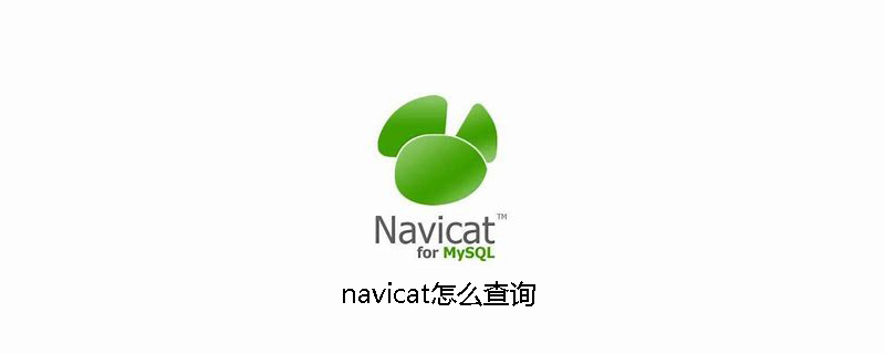 navicat怎么查询-小浪学习网