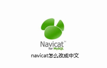 navicat怎么改成中文