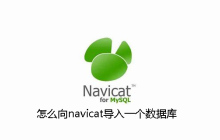 怎么向navicat导入一个数据库