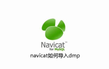 navicat如何导入dmp