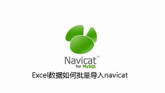 How to import Excel data into Navicat in batches