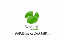 数据库navicat怎么加图片