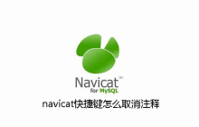 navicat快捷键怎么取消注释