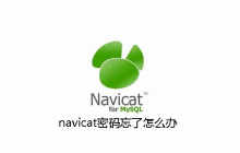 navicat密码忘了怎么办