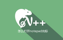 怎么打开notepad光标
