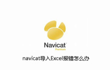 navicat导入Excel报错怎么办