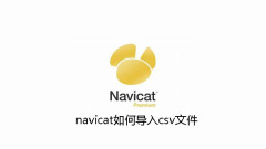 navicat如何匯入csv文件