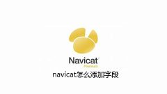 navicat怎麼加入字段