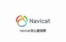 navicat怎么查询表