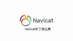 How to get navicat patch