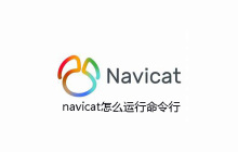 navicat怎么运行命令行