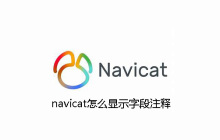 navicat怎么显示字段注释