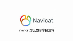 navicat怎么显示字段注释