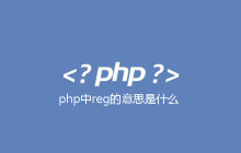 php中reg的意思是什么