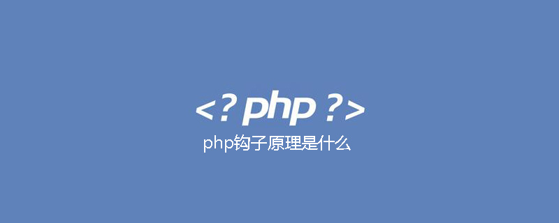 What is the principle of php hook