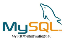 MySQL常用操作及基础知识