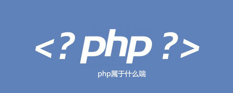 php属于什么端