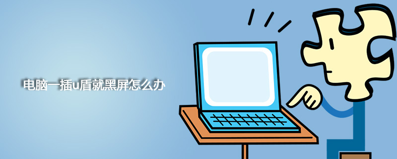 电脑一插u盾就黑屏怎么办