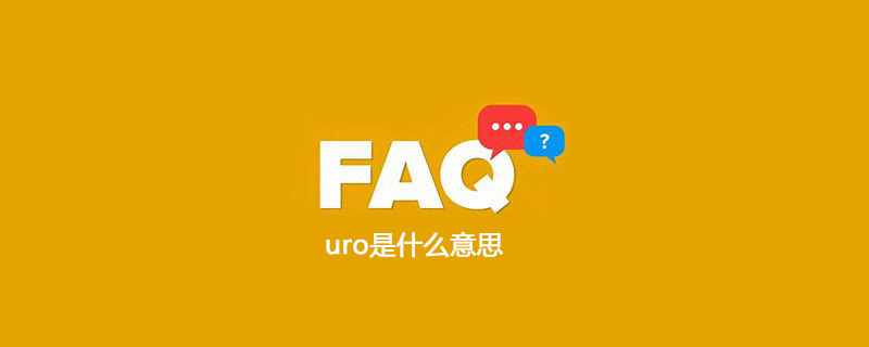 uro是什么意思