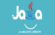 java怎么打开二进制文件