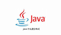 java 什么是分布式