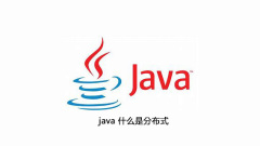 java what is distributed