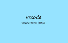 vscode 如何注释代码